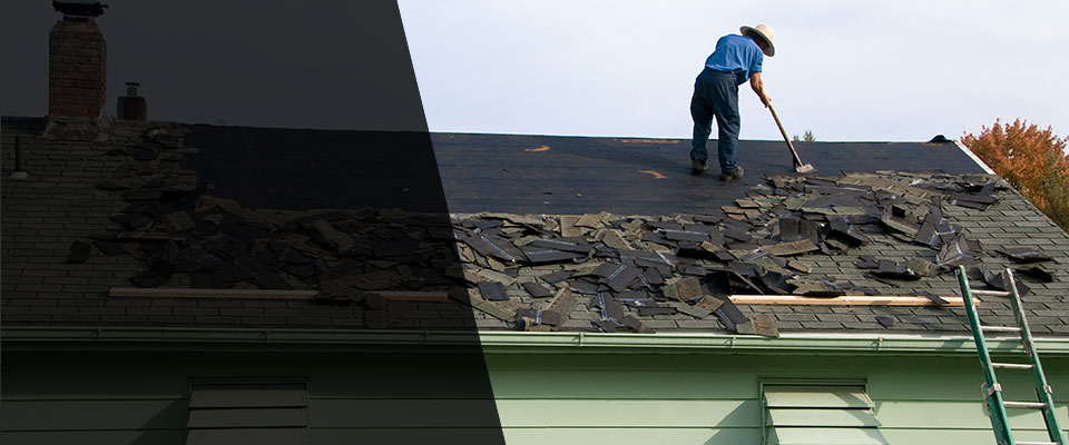 Bee Spring Roofing Contractors